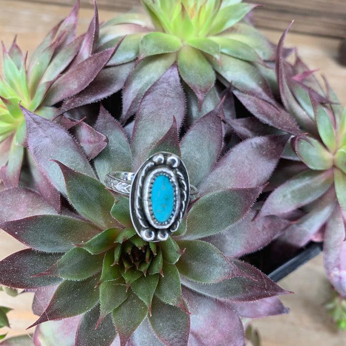 Small turquoise ring